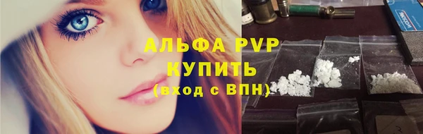 дмт Магас