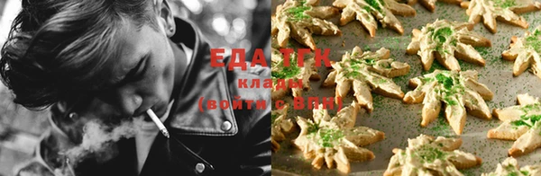 тгк Магадан